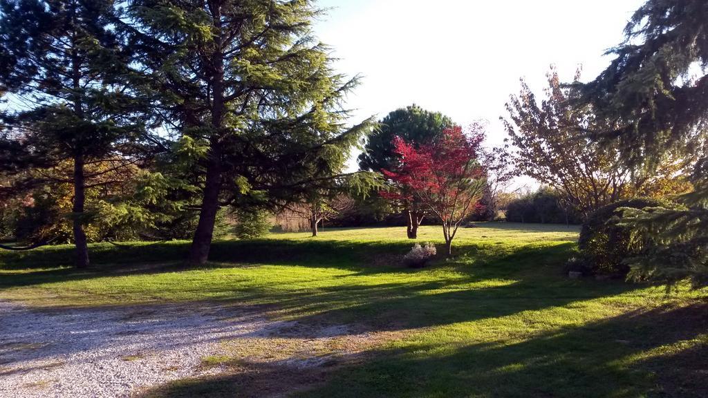 Al Campo Di Sotto Bed & Breakfast Buia Exterior photo
